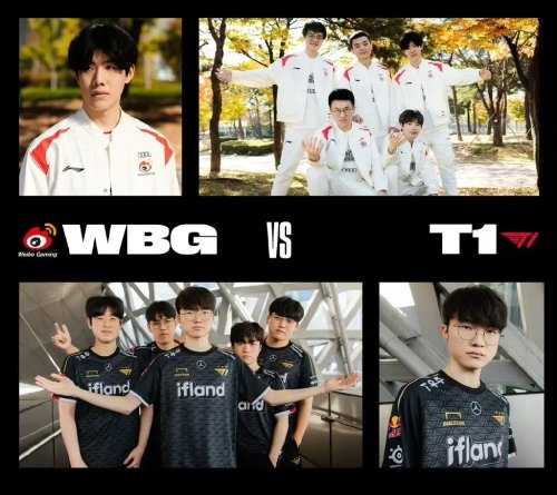 体系提供了 体系提供了